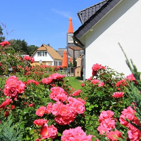 Kuestenwaldhaus Pinguin Appartement